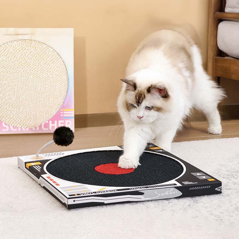 CreatureLand Vinyl Player Cat Scratcher (2 Designs) - CreatureLand