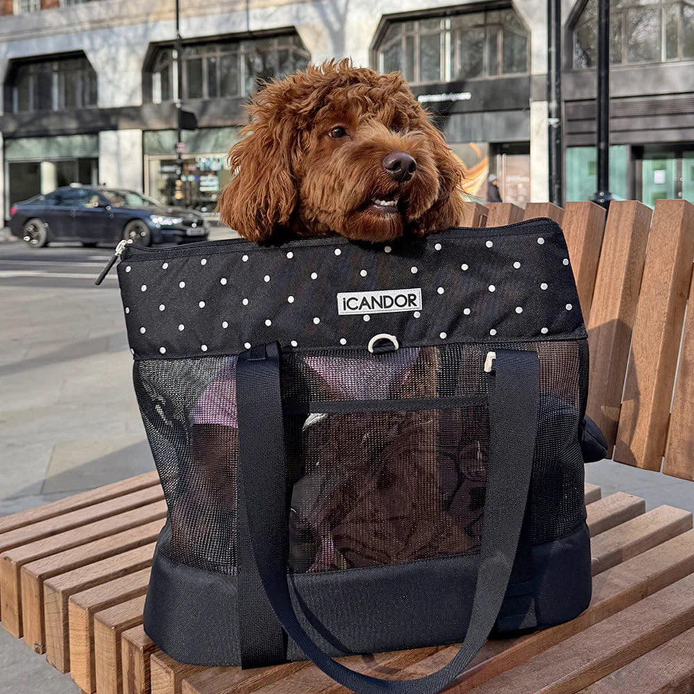 [ PREORDER ] Brisbane Pet Carrier | Capri Black
