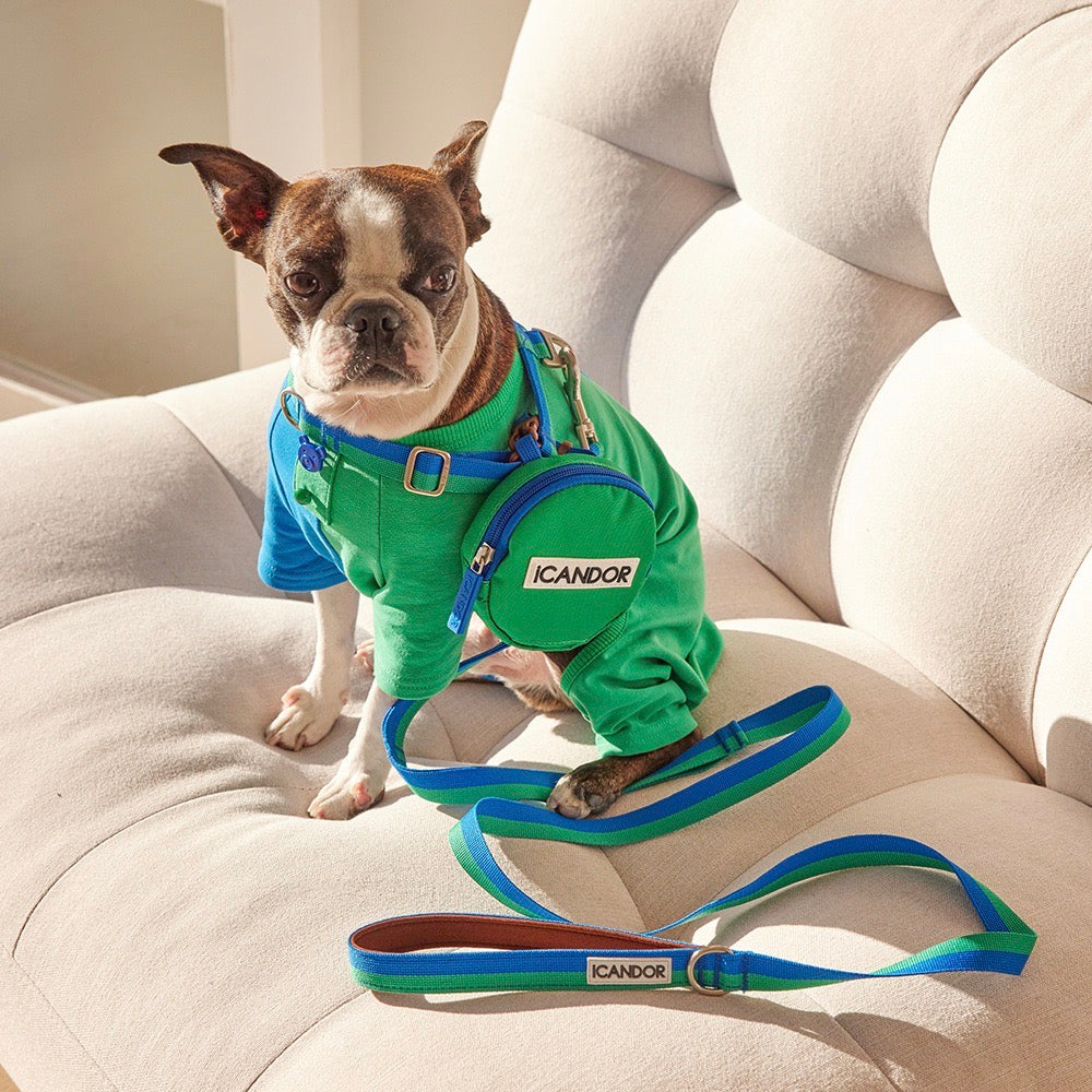 iCandor 3-in-1 Walking Kit: Forest