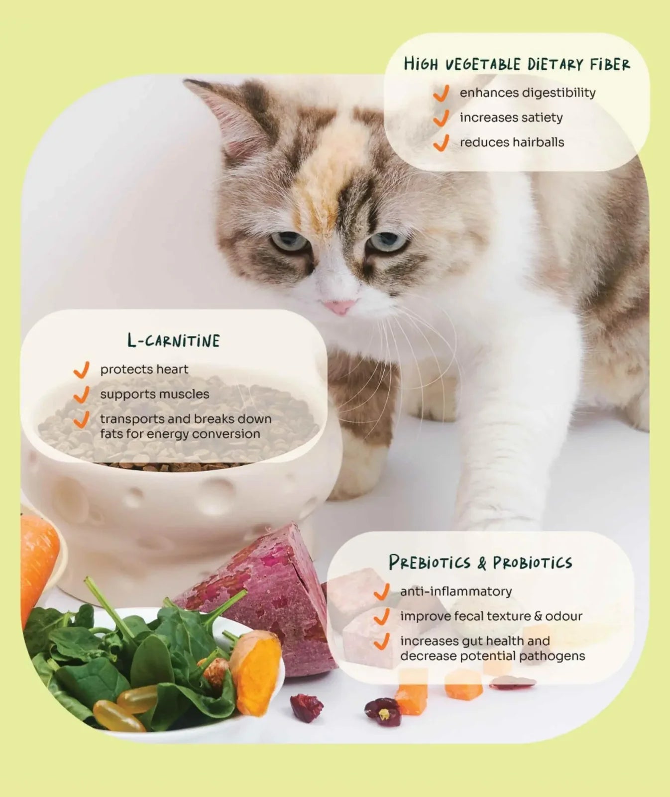 Notti Slow-Baked Fresh Chicken & Lamb Weight Care Cat Dry Food  (For Indoor Cats)
