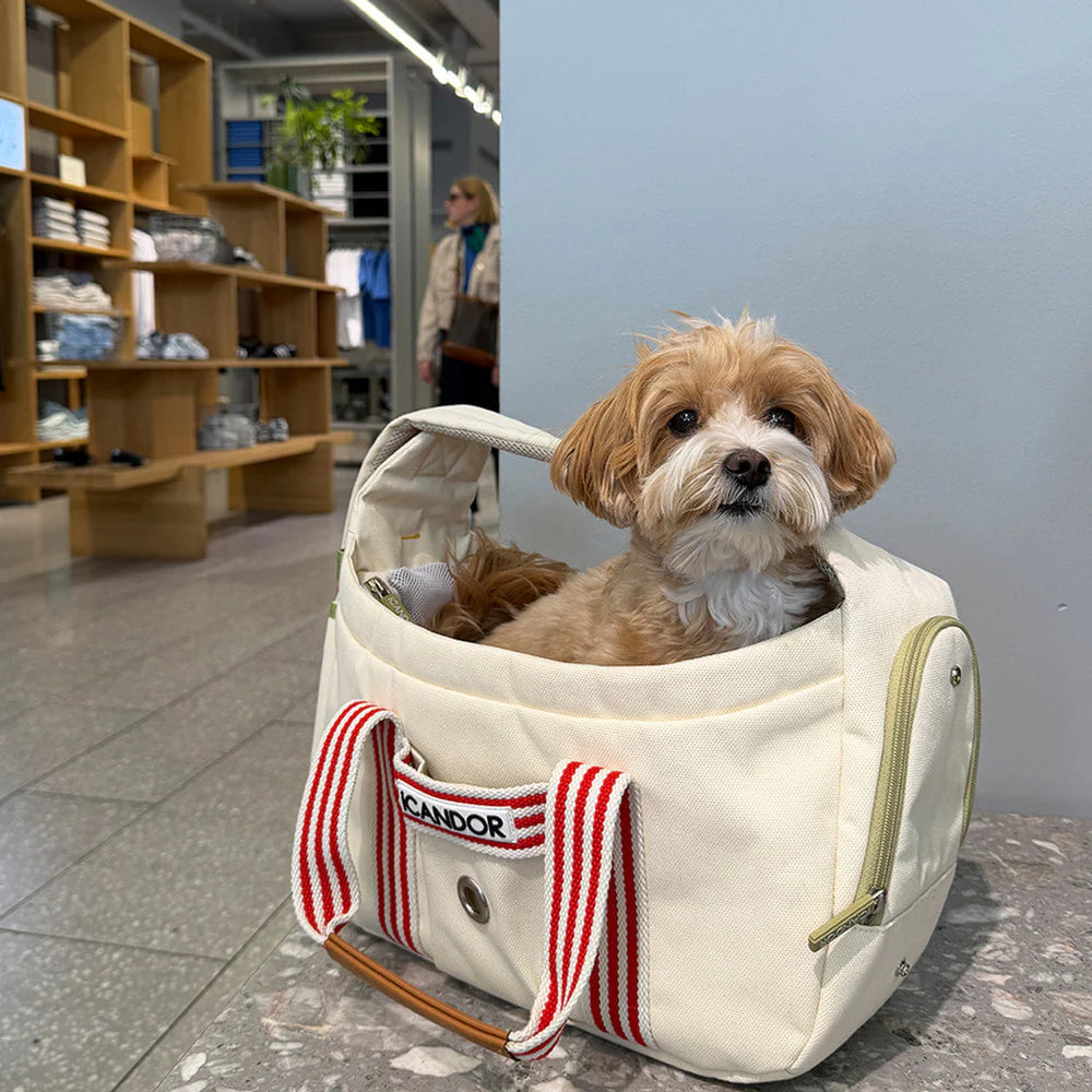 [ PREORDER ] Peek-a-boo Pet Carrier | Capri