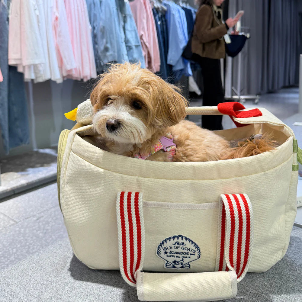 [ PREORDER ] Peek-a-boo Pet Carrier | Capri