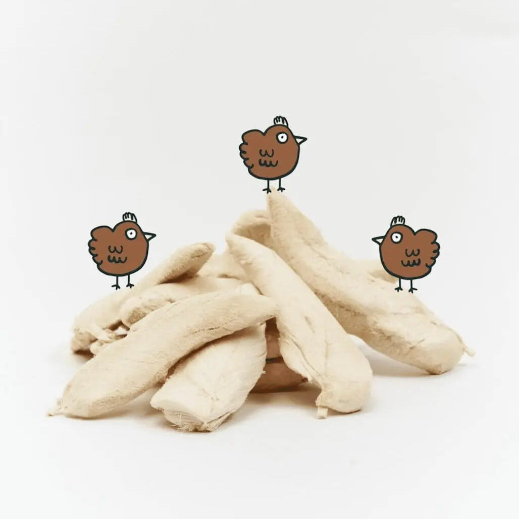 Notti Chicken Breast Freeze-Dried Fillet For Dog & Cat (50g)