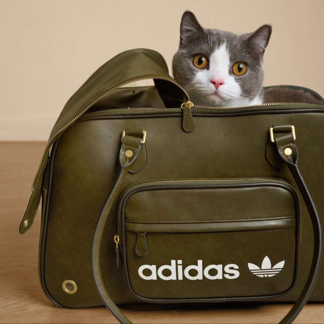 Adidas Originals Pet Carrier in Khaki