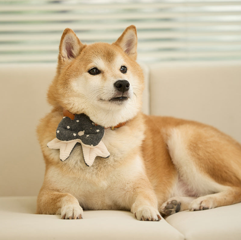 Winter Night Pet Collar Clip (Ribbon)