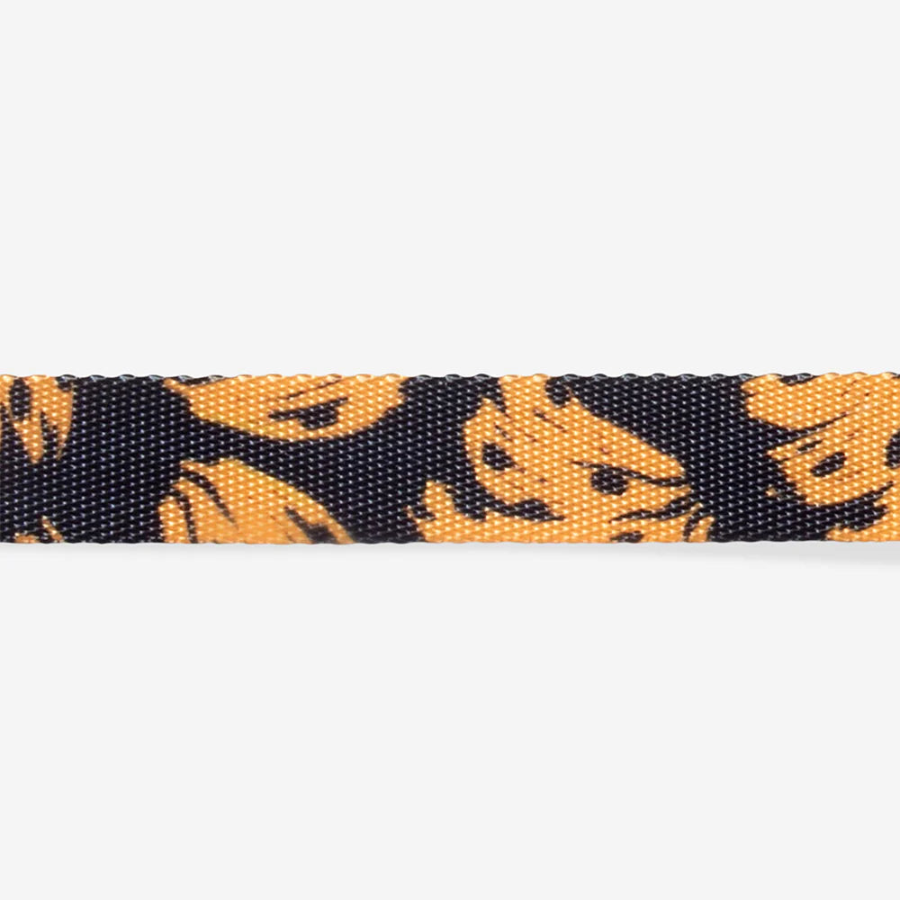 Farm Rio x Zee.Dog Bossa Banana Dog Collar