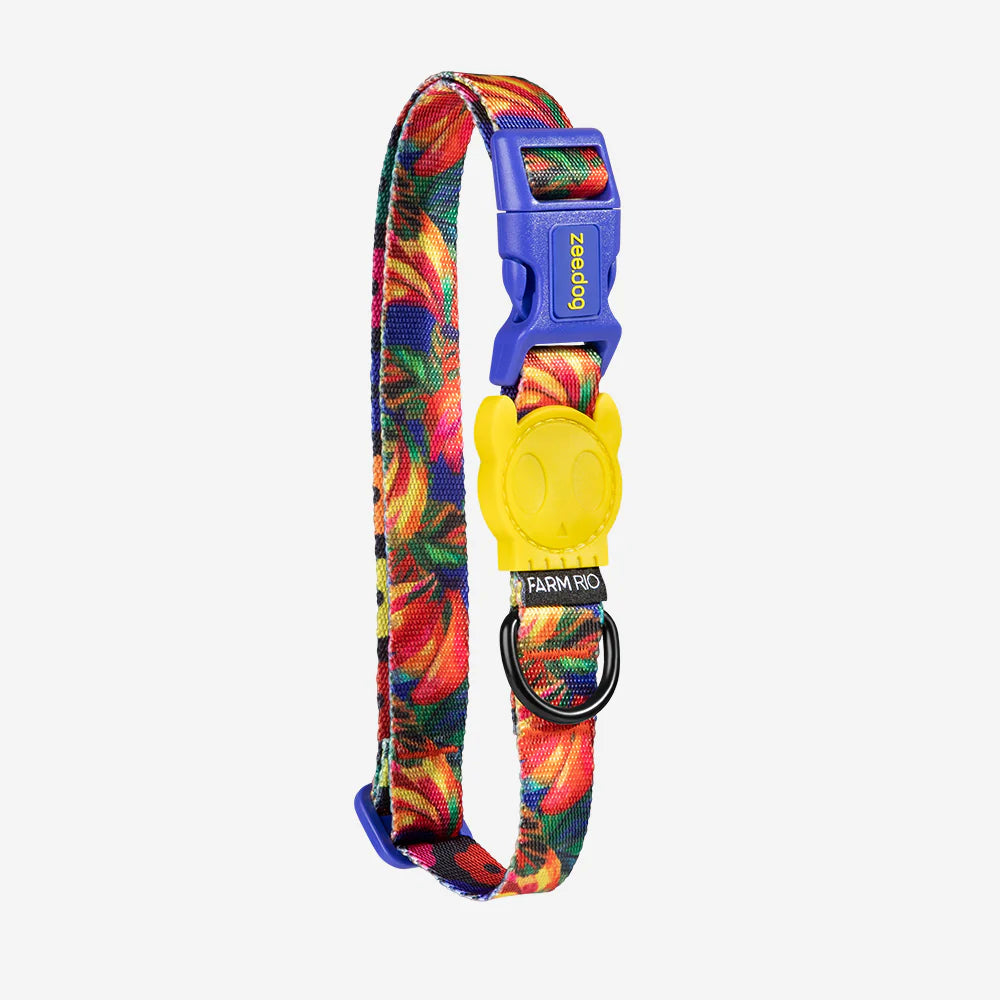 Farm Rio x Zee.Dog Samba Dog Collar