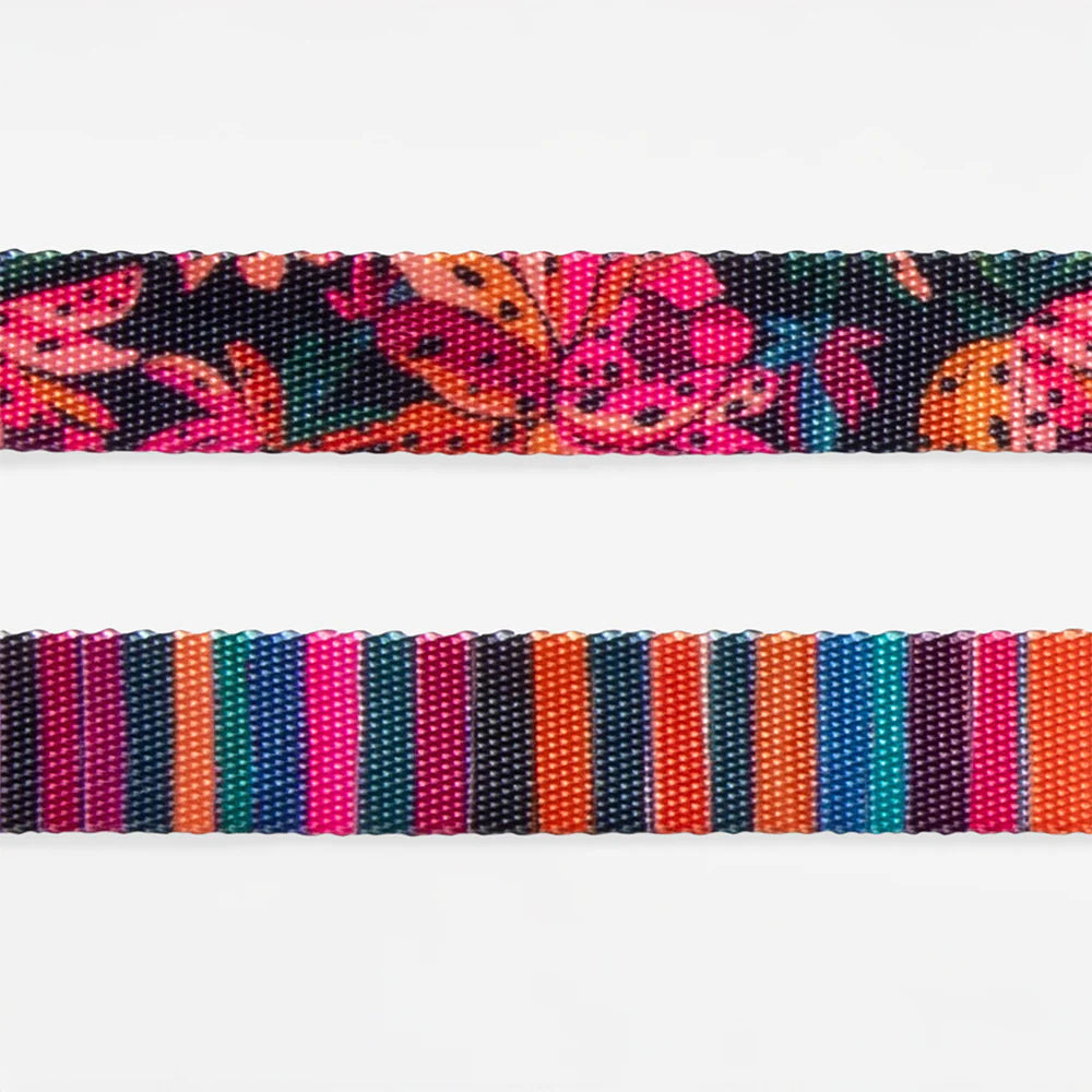 Farm Rio x Zee.Dog Selva Dog Collar