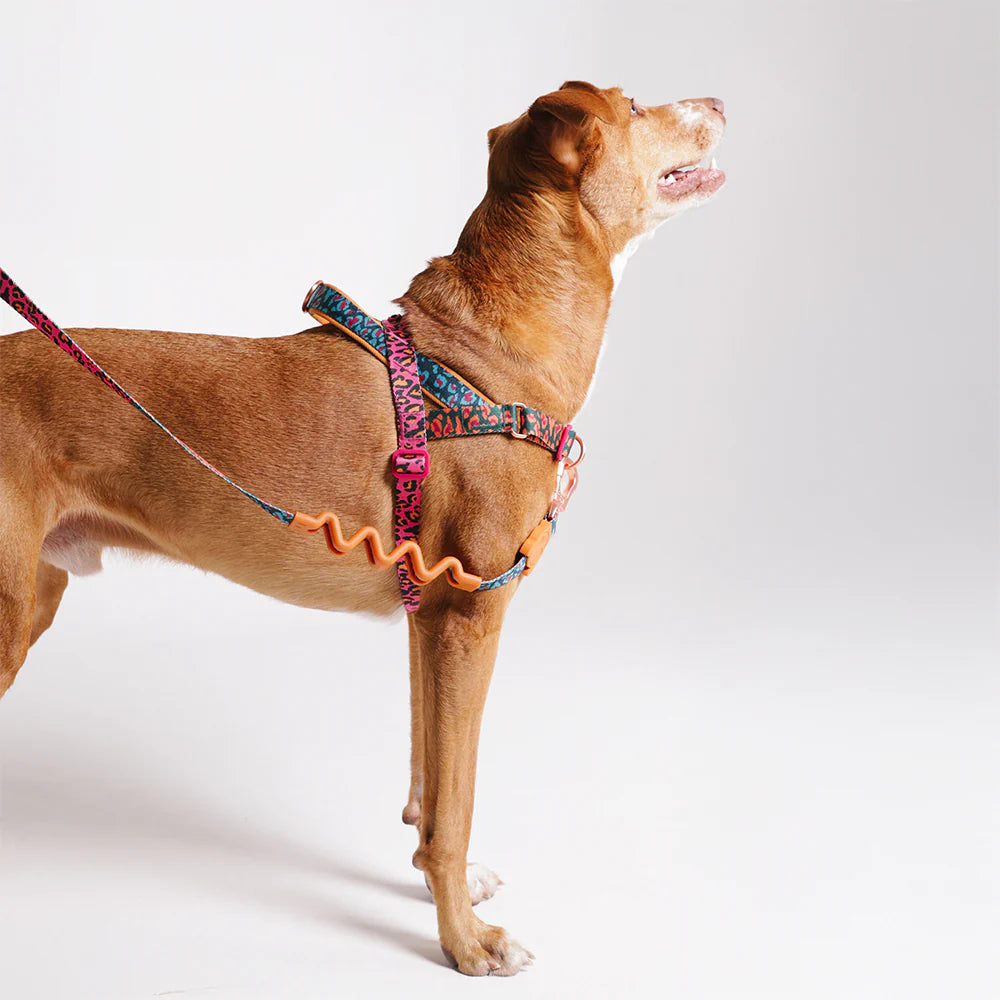 Farm Rio x Zee.Dog Selva Softer Walk Harness