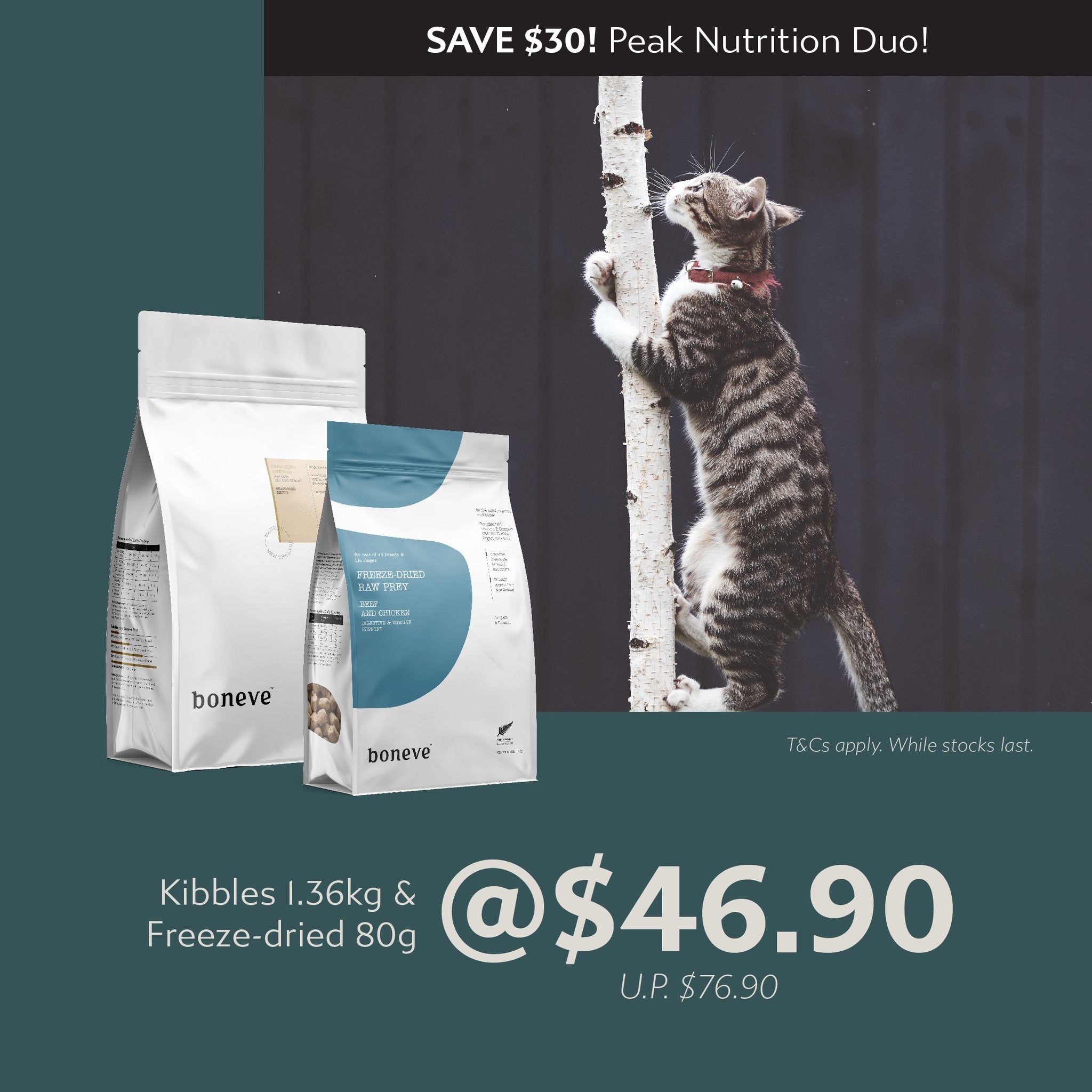 Fast Bundle Boneve Bundle Deal | Freeze - Dried (80g) + Kibbles (1.36kg) - CreatureLand