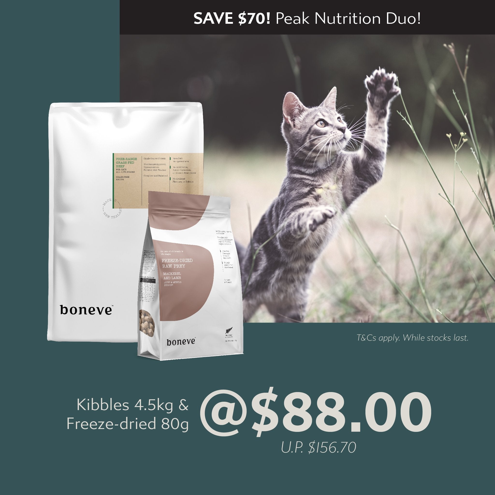 Fast Bundle Boneve Bundle Deal | Freeze - Dried (80g) + Kibbles (4.5kg) - CreatureLand