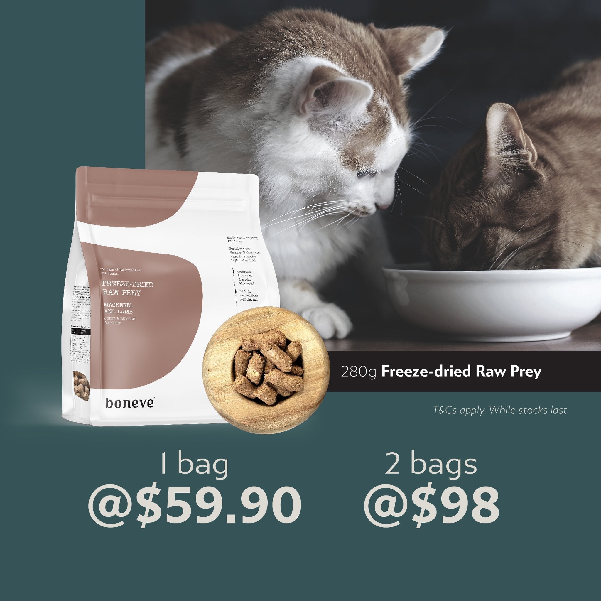 Fast Bundle Boneve Mix & Match | Freeze - Dried Cat Food (280g) - CreatureLand