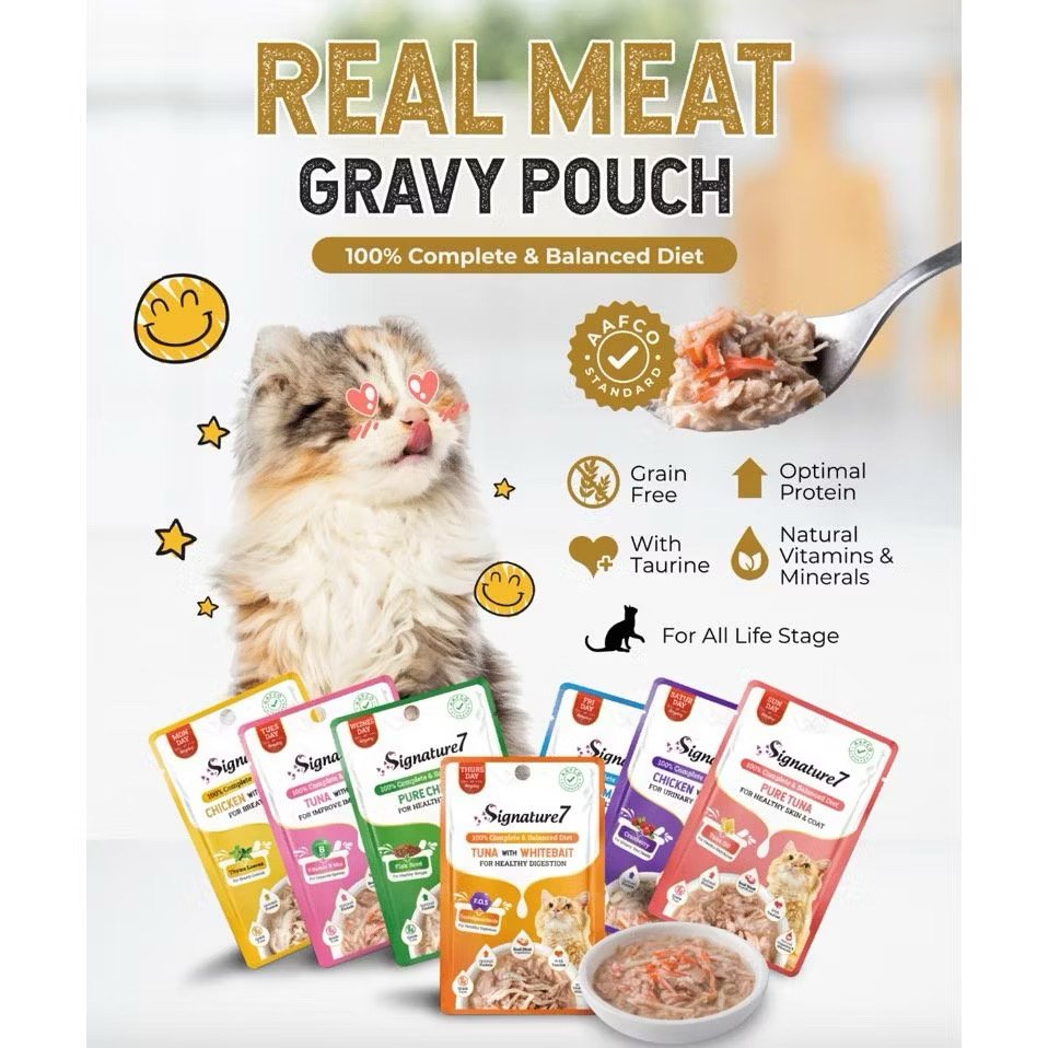 Fast Bundle CARTON DEAL | Signature7 Gravy Cat Pouch - CreatureLand