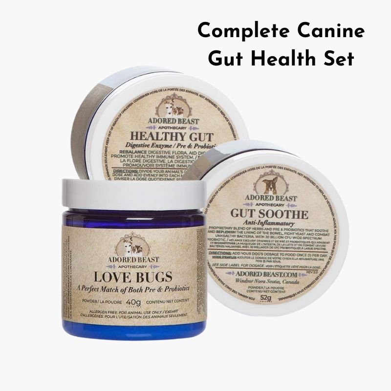 Fast Bundle Complete Canine Digestive Health Set | 5% off Adored Beast Probiotics - CreatureLand