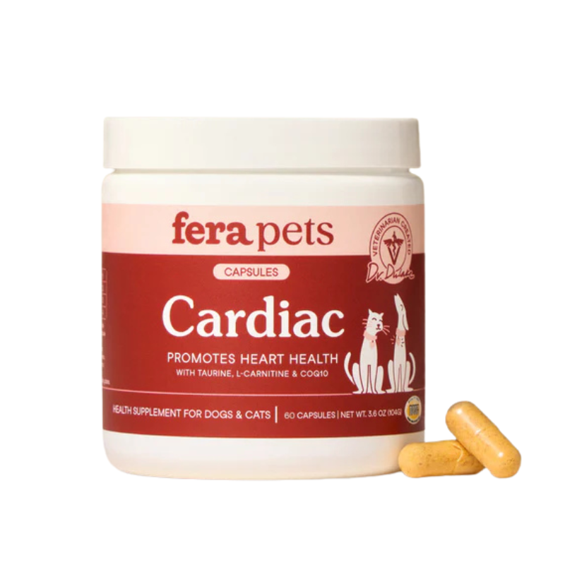 Cardiac Support for Dogs and Cats