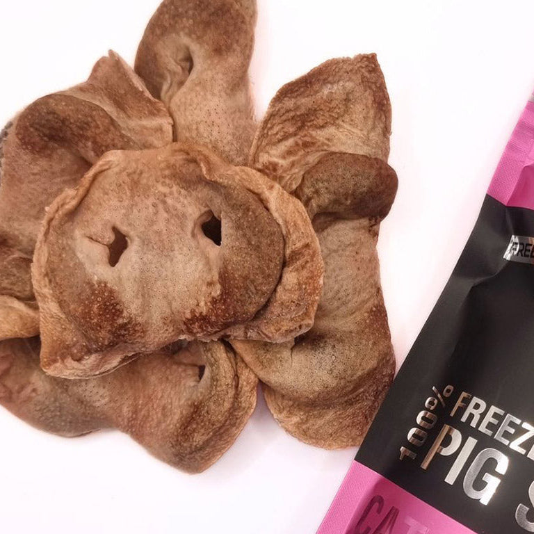Freeze Dried Treats | Pig Snouts (100g)