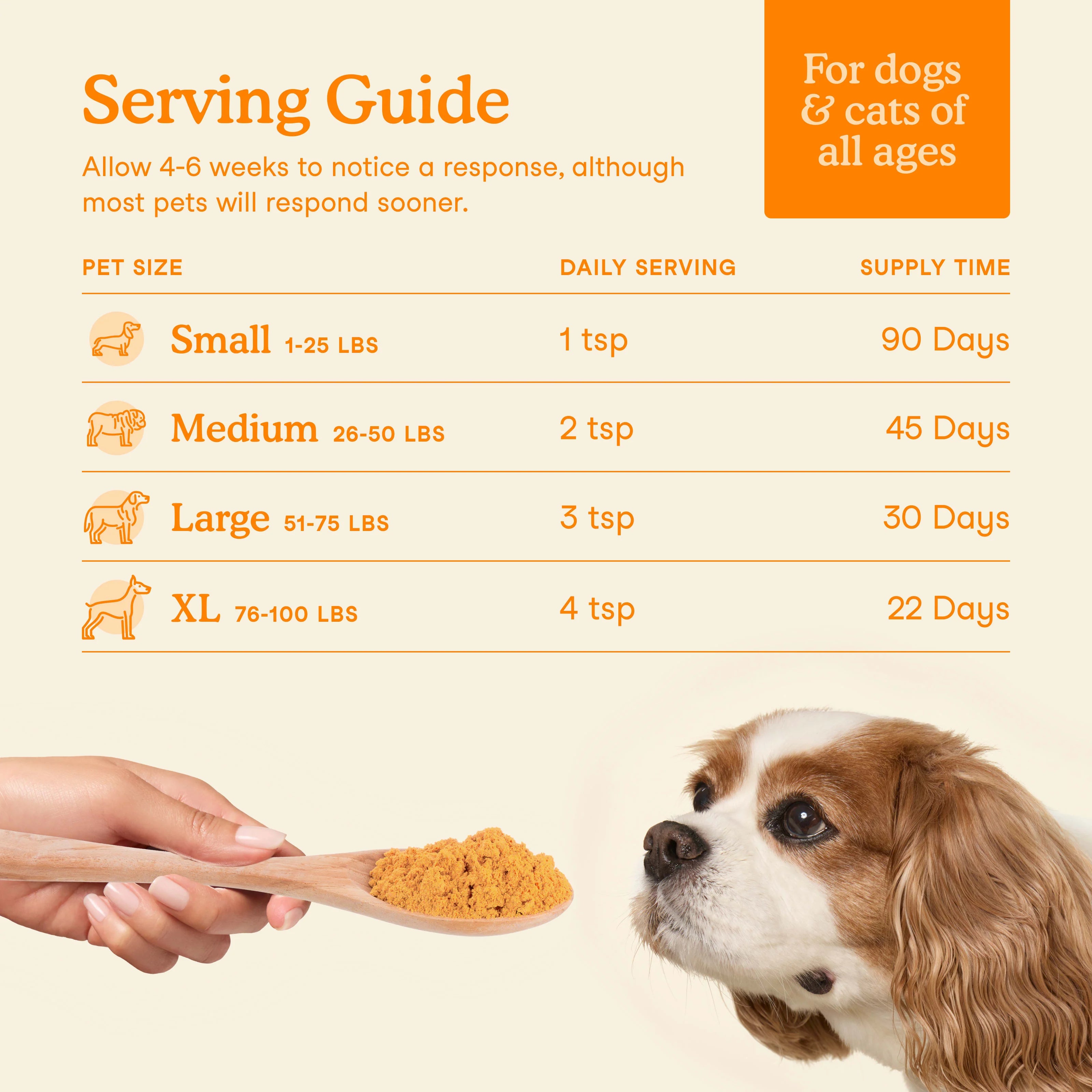 Pumpkin Plus Fiber Support For Dogs and Cats