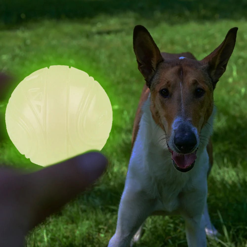 Gigwi Pet SkipDawg Neon Glow Ball Dog Toy - CreatureLand