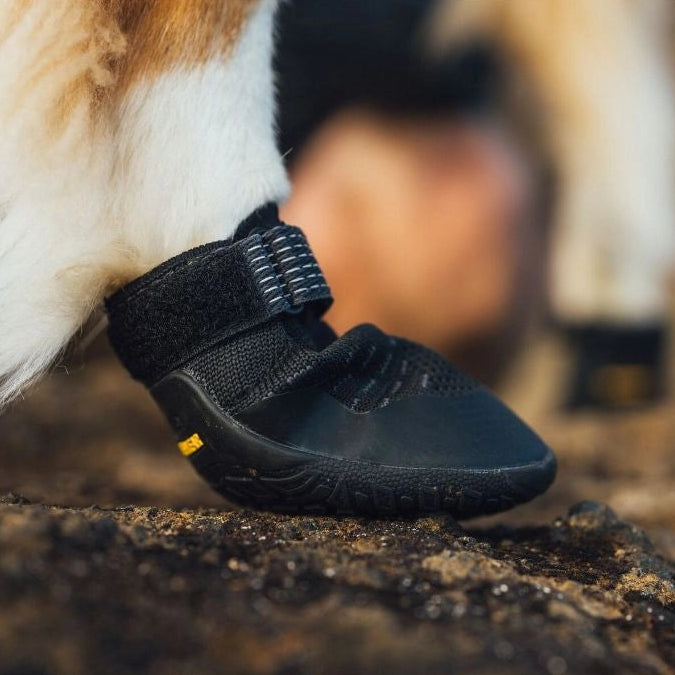 Ridgeline™ Dog Shoes | Obsidian Black