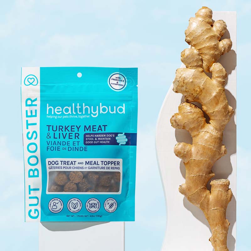 Healthybud Functional Turkey Gut Booster Dog Treats/Topper (130g) - CreatureLand