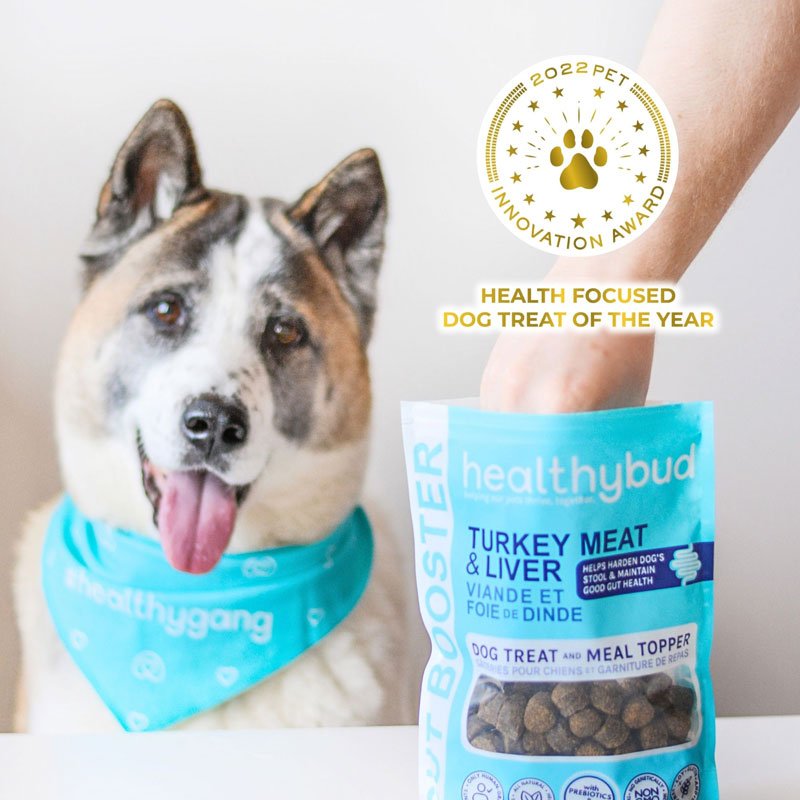 Healthybud Functional Turkey Gut Booster Dog Treats/Topper (130g) - CreatureLand