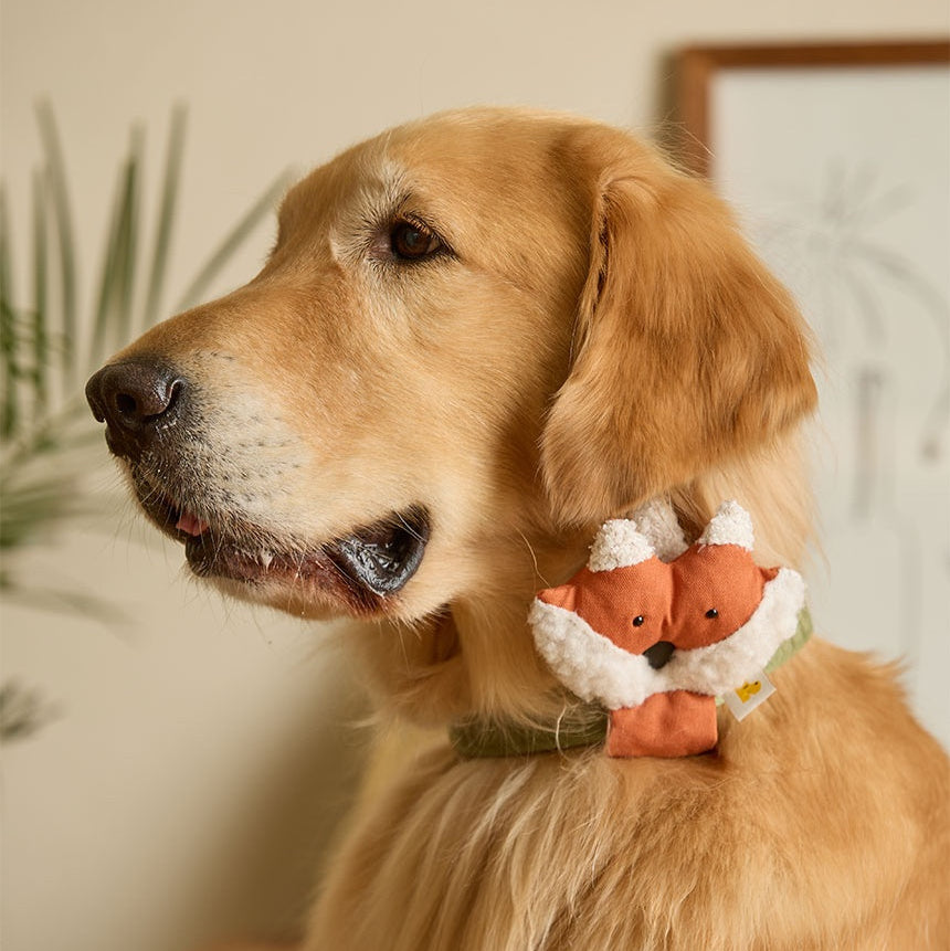 HIKOINU Fox Pet Collar Clip worn by a golden retriever, side view