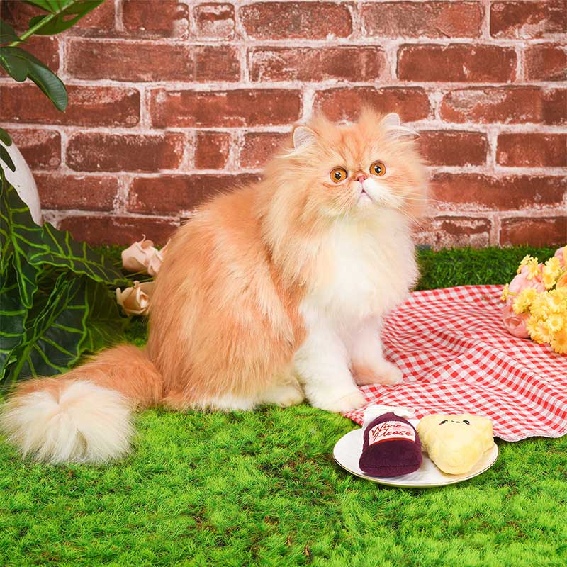 HugSmart Kitten Party — Cheese & Wine Catnip Toy - CreatureLand