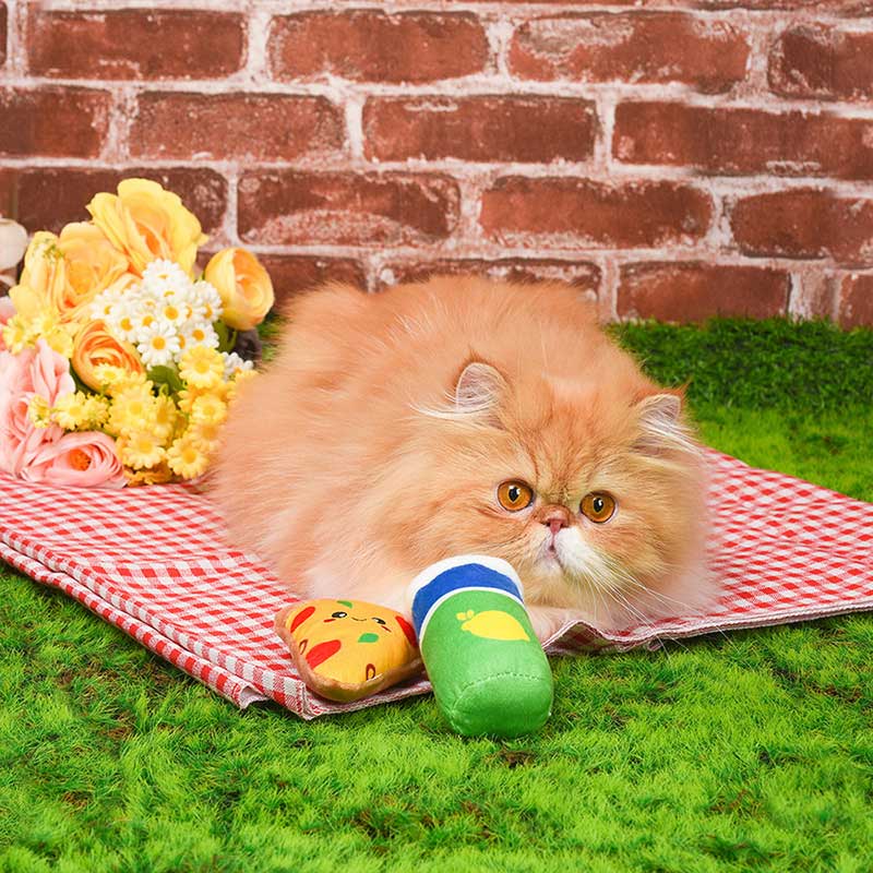 HugSmart Kitten Party — Pizza & Soda Catnip Toy - CreatureLand