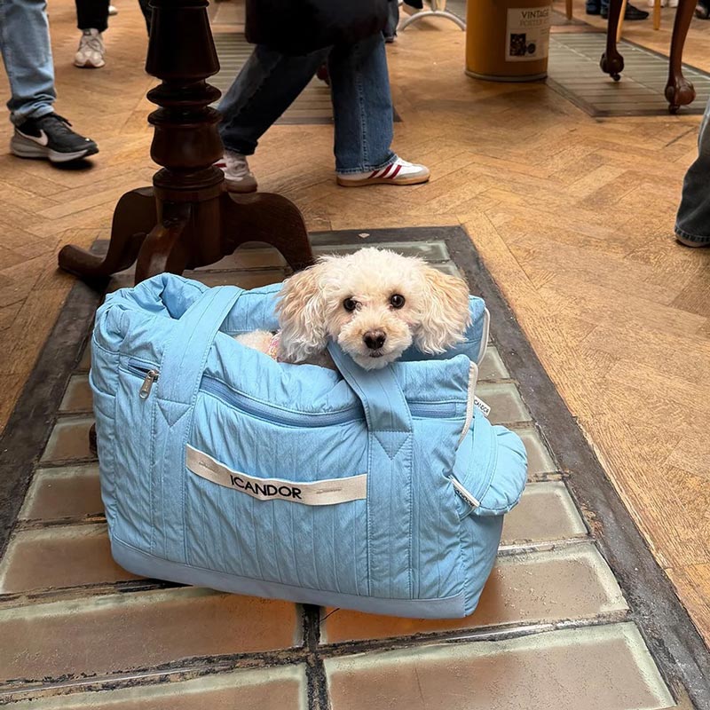 [ PREORDER ] Cloud 9 Pet Carrier | Airy Blue