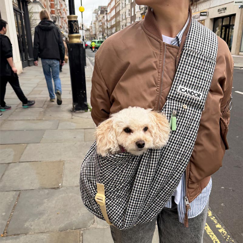 Dumpling Bag | Urban Black