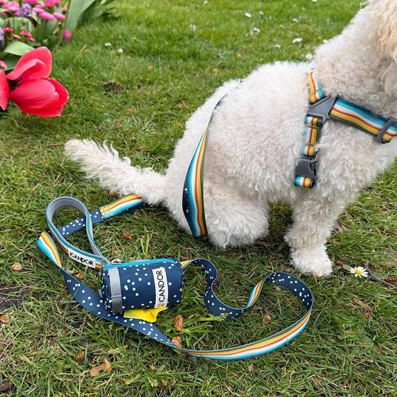 [ PREORDER ] Gentle Multi-Functional Adjustable Bolt Leash – Regular & Hands-Free Walk | Ripple