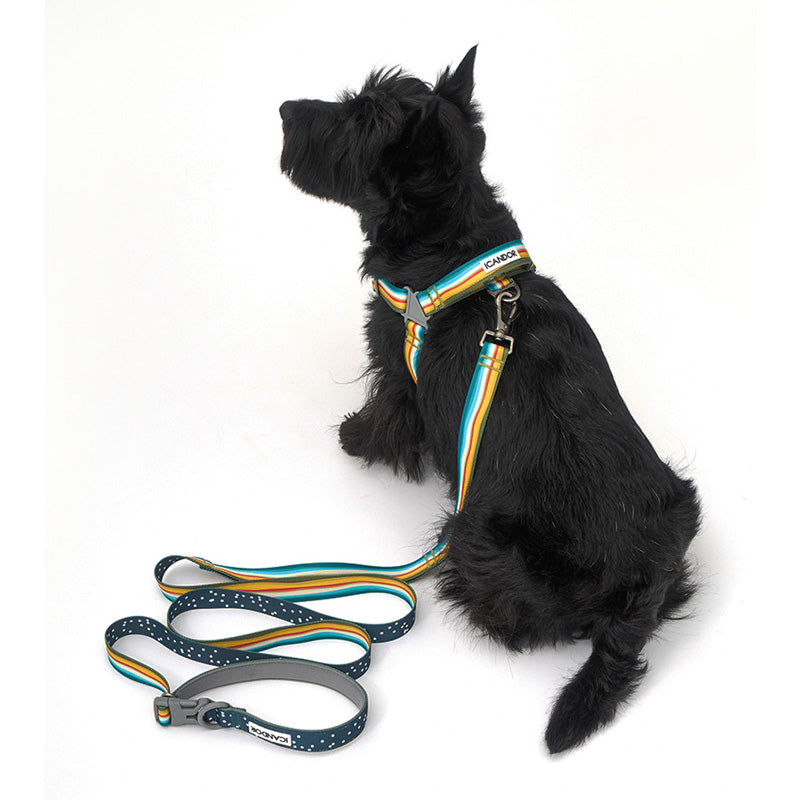 [ PREORDER ] Gentle Multi-Functional Adjustable Bolt Leash – Regular & Hands-Free Walk | Ripple