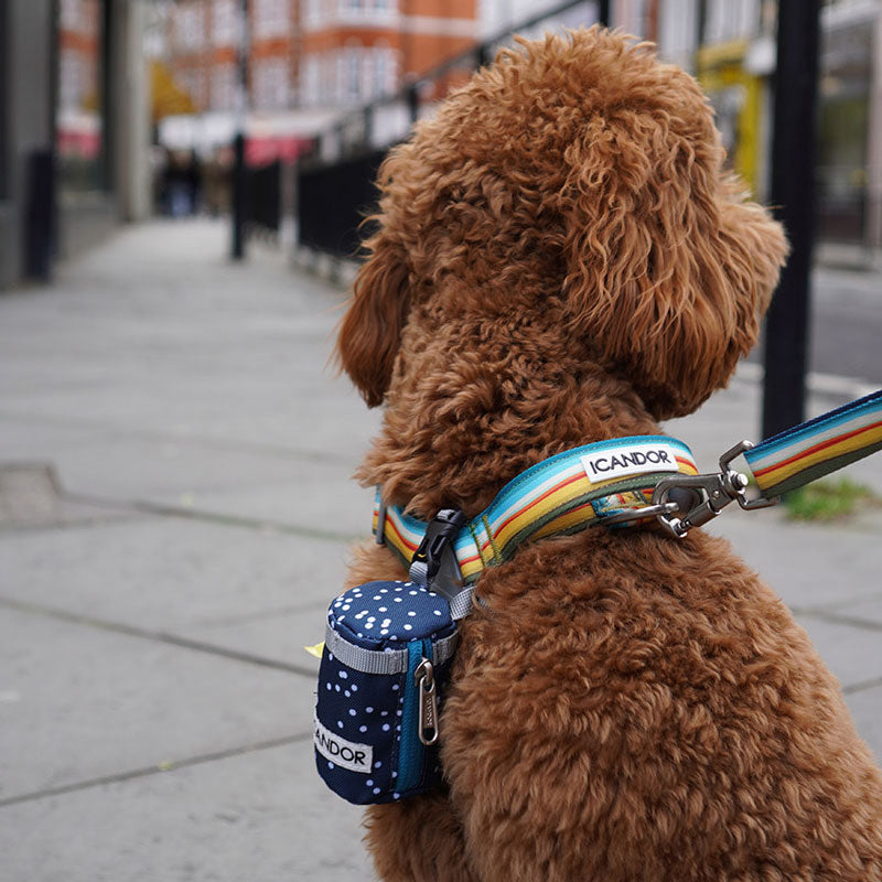 No-Pull Harness | Ripple
