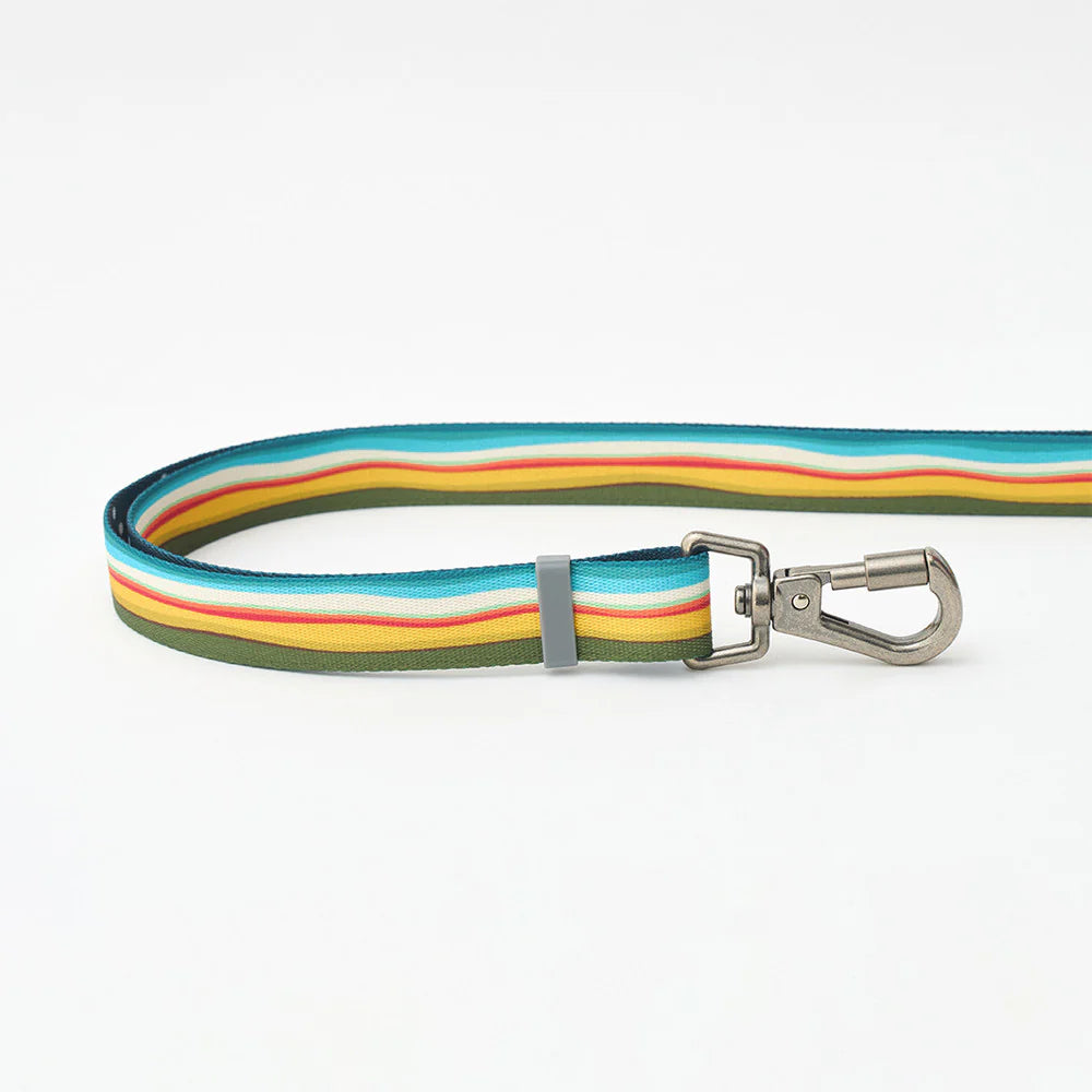 [ PREORDER ] Gentle Multi-Functional Adjustable Bolt Leash – Regular & Hands-Free Walk | Ripple