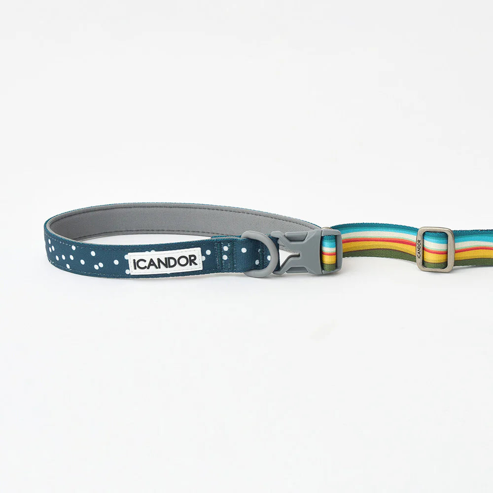 [ PREORDER ] Gentle Multi-Functional Adjustable Bolt Leash – Regular & Hands-Free Walk | Ripple