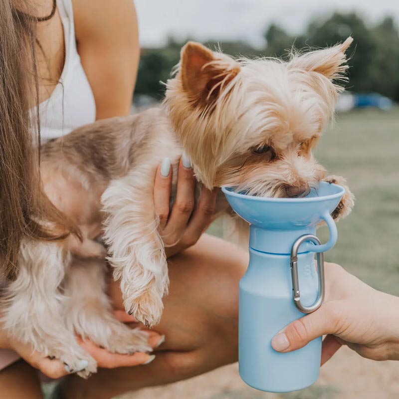 Mini Travel Bottle (15oz)