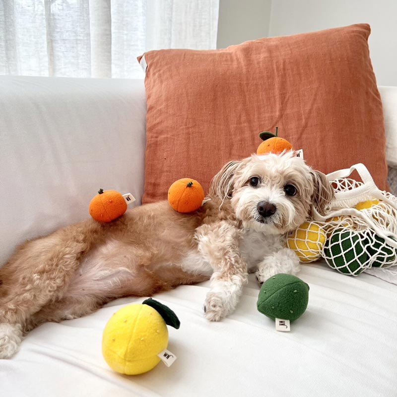 Citrus Dog Toy (Set of 3)