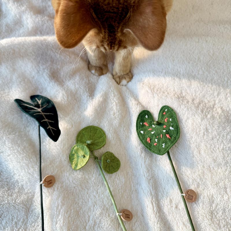 Plants Series Cat Teaser (5 Designs)