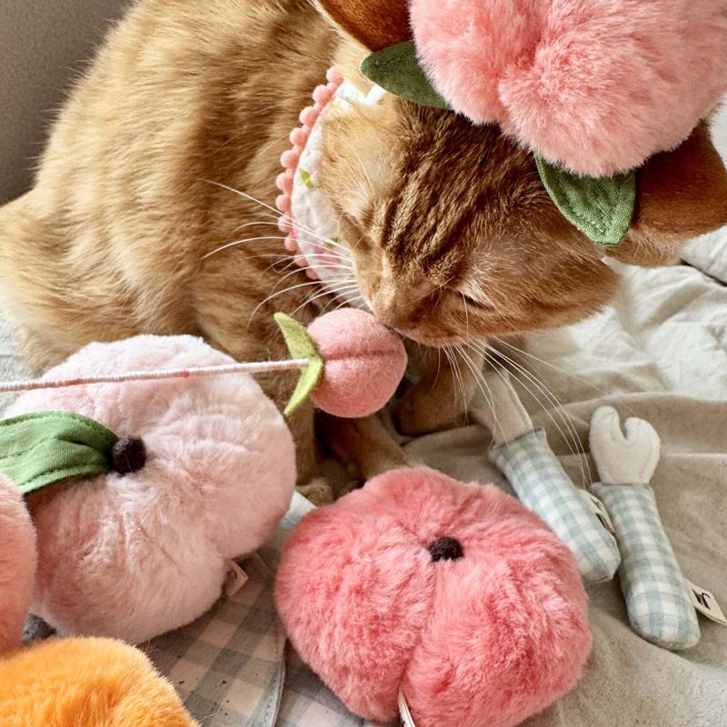 Mini Peach Juice Cat Teaser