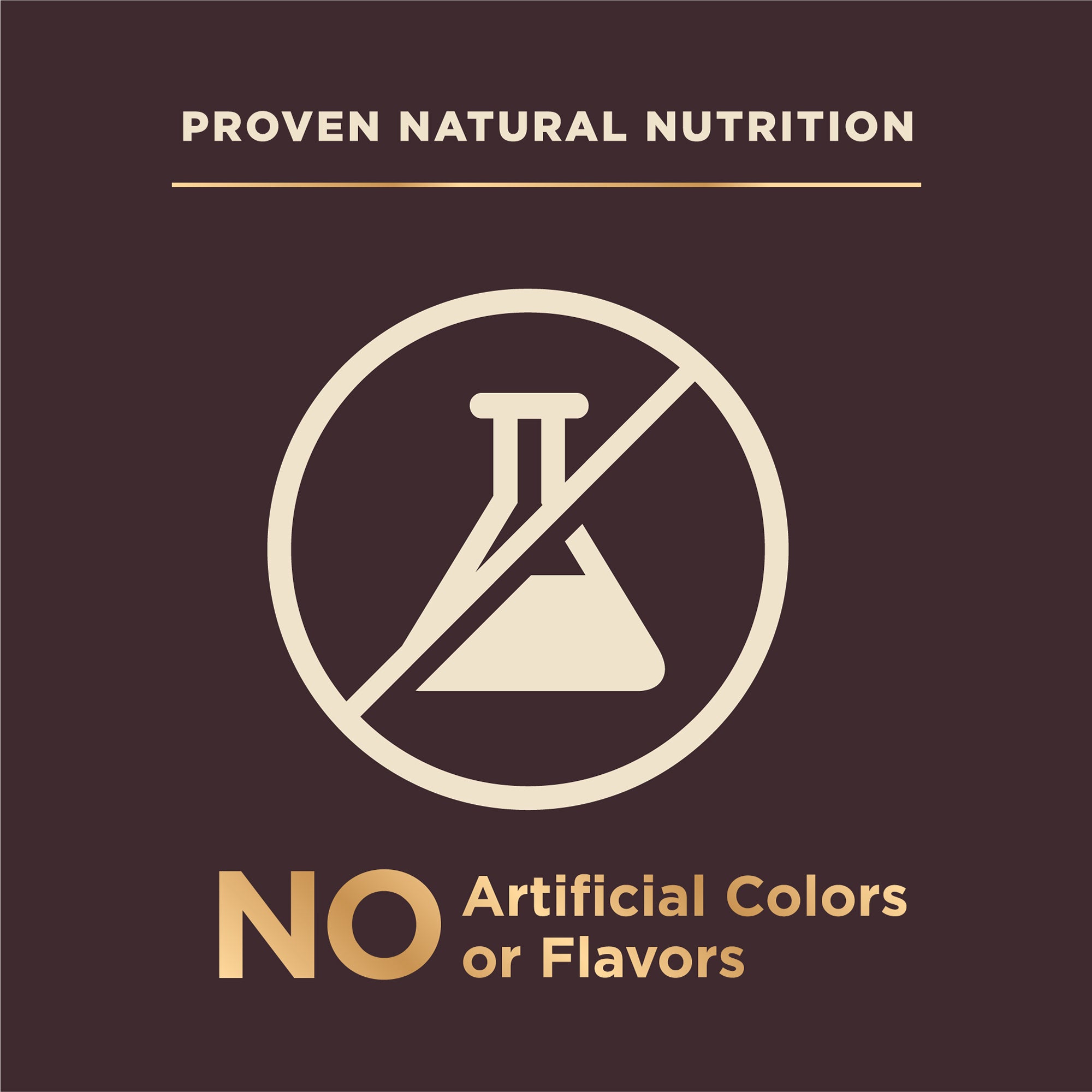 Wellness Core+ (formerly Rawrev) Puppy With Freeze Dried Turkey Grain Free Dry Dog Food