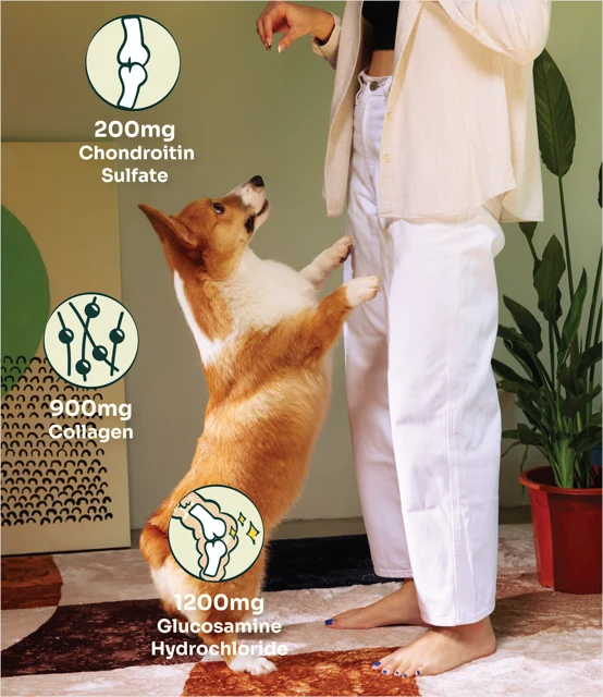 Notti Joint Care Fresh Duck & Beef Dog Dry Food