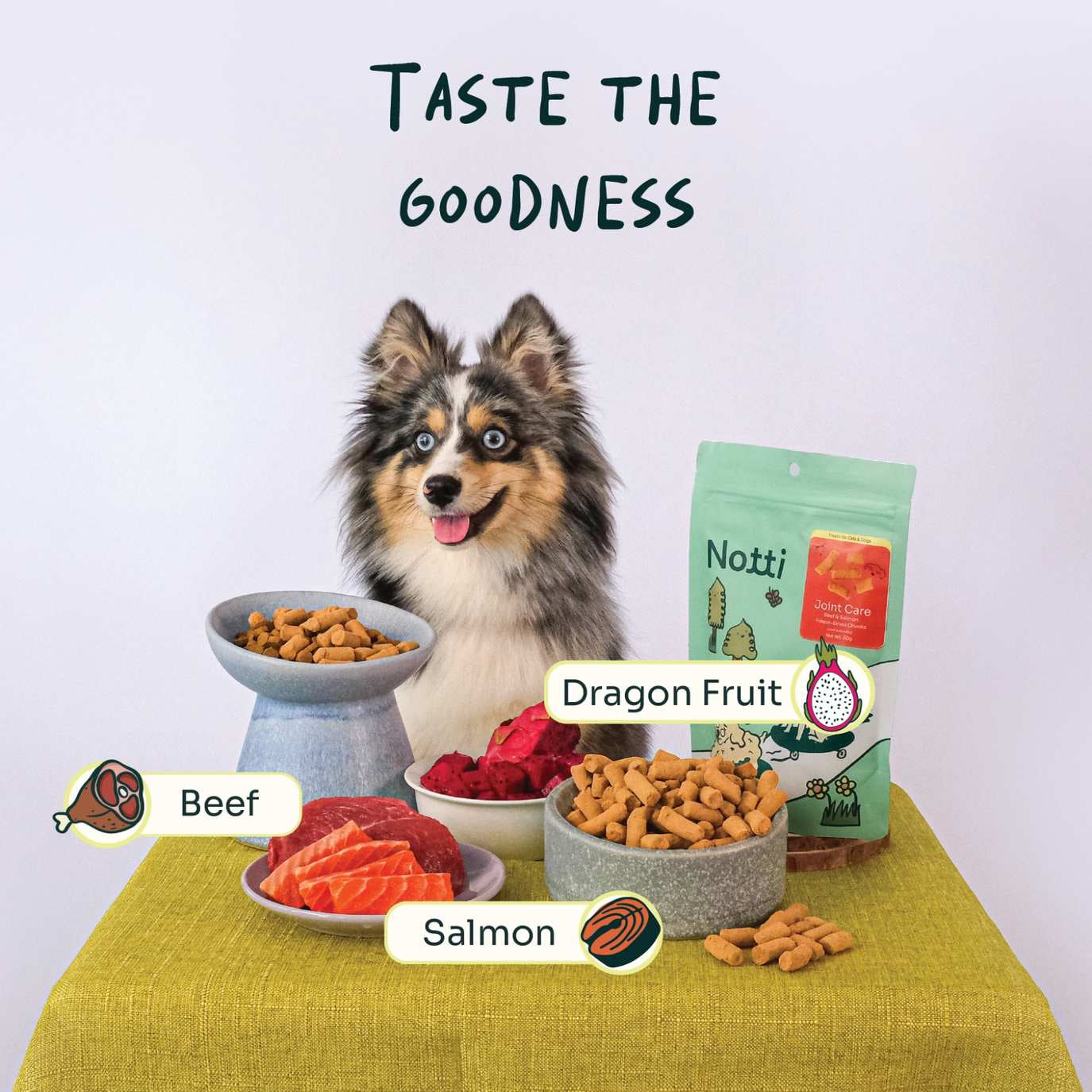 Notti Joint Care Beef & Salmon Freeze-Dried Chunks For Dog & Cat (50g)