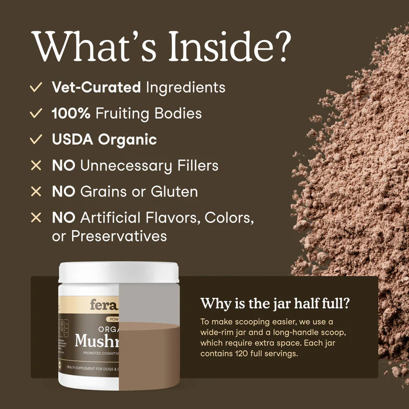 Mushroom Blend for Immune Support For Dogs and Cats