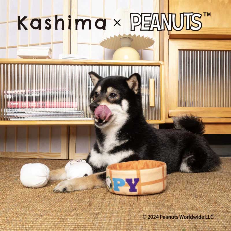 Kashima [ Kashima x Peanuts ] Snoopy Soup Dumplings Nosework Toy - CreatureLand