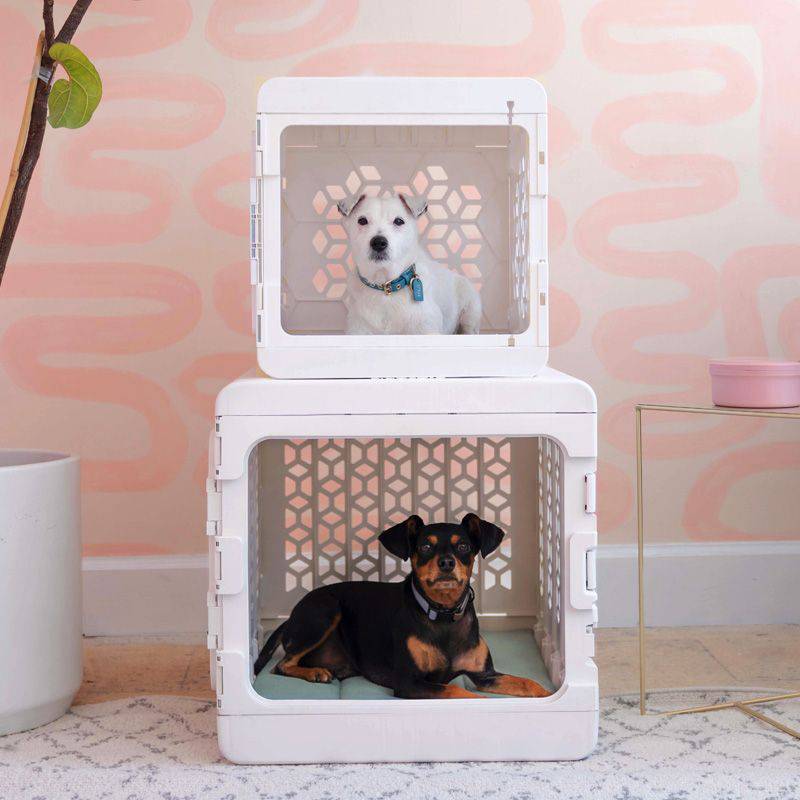 KindTail PAWD® | Modern Collapsible Plastic Dog & Pet Crate - CreatureLand