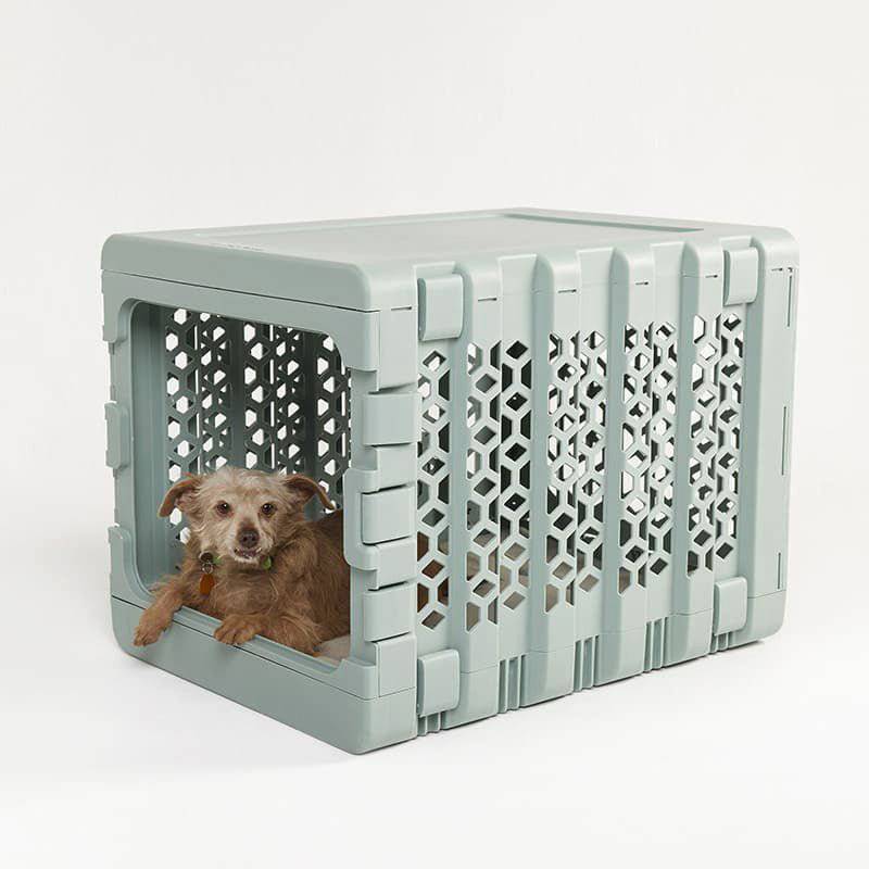 KindTail PAWD® | Modern Collapsible Plastic Dog & Pet Crate - CreatureLand