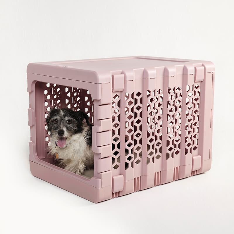 KindTail PAWD® | Modern Collapsible Plastic Dog & Pet Crate - CreatureLand