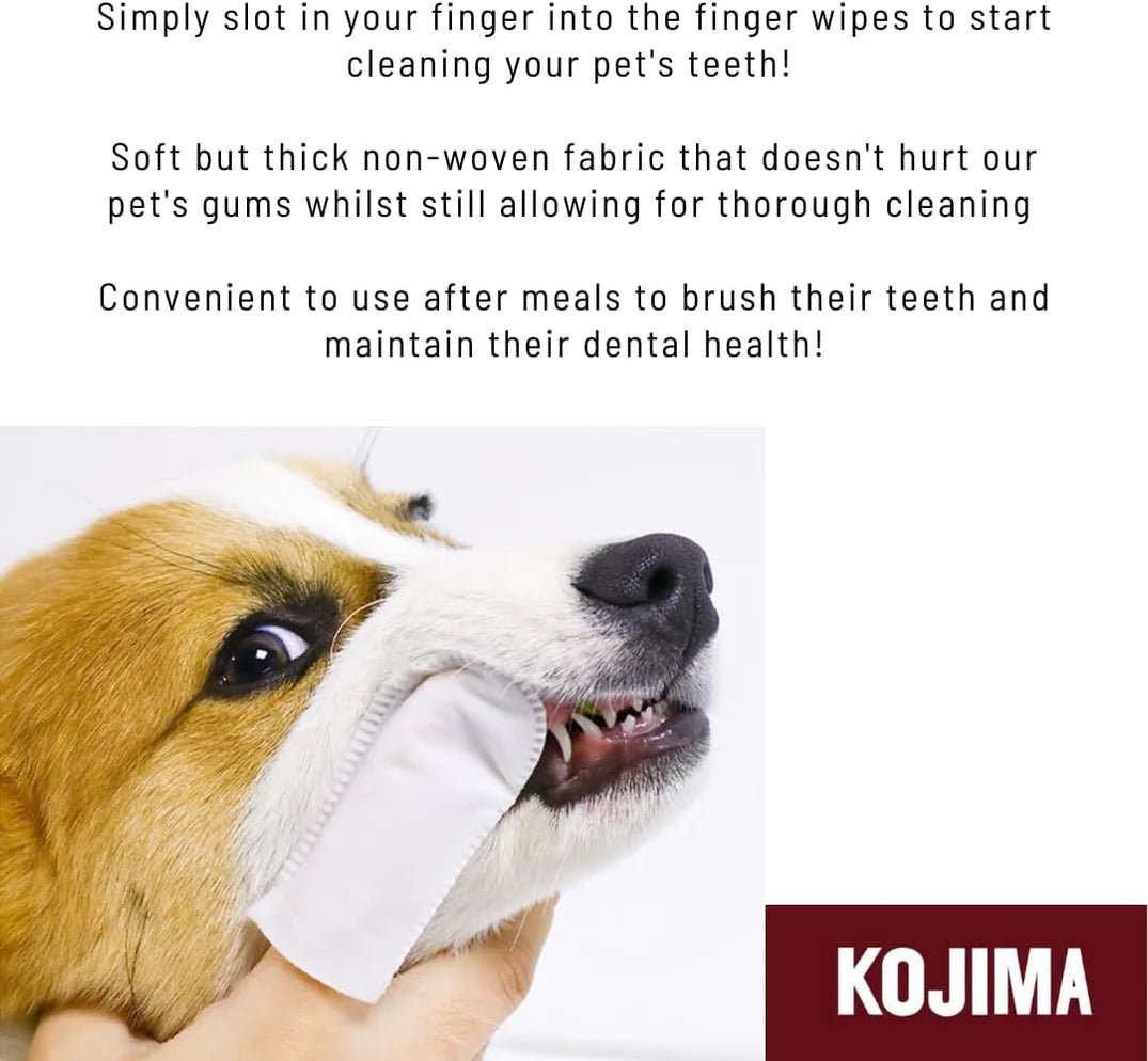 Kojima Dental Finger Wipes For Dogs & Cats (36 Pieces) - CreatureLand