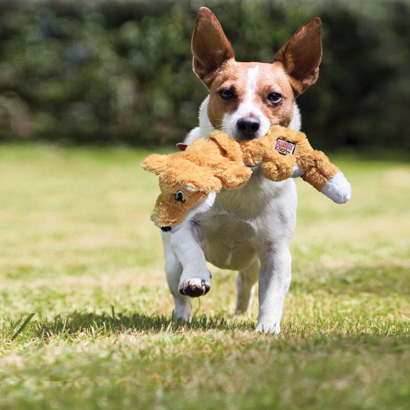 KONG® Scrunch Knots Fox Dog Toy - CreatureLand