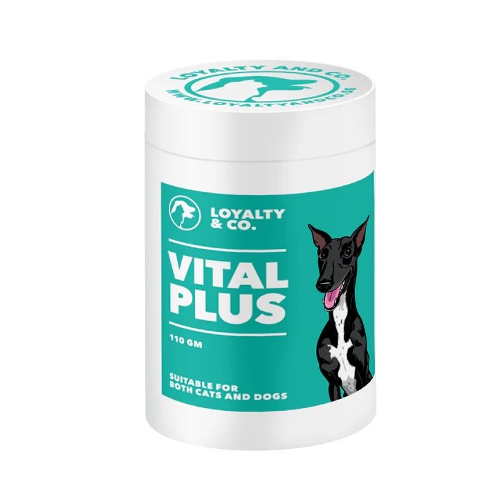 Loyalty & Co. Loyalty & Co. Vital Plus For Dogs & Cats (110g) - CreatureLand